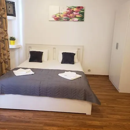 Studio Sforii In Ris Brasov